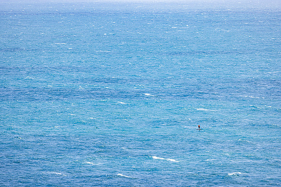 Downwind Foil Race, 20/1/25