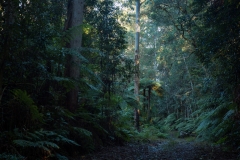 Cottan Biimbang National Park, Australia