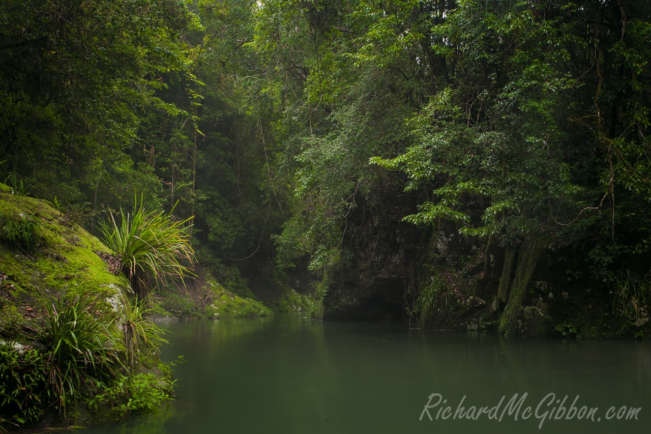 Barrington Tops World Heritage National Park