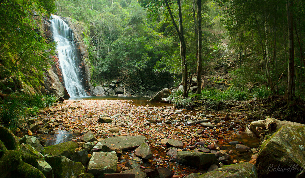 Tinebank Creek Waterfall