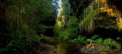 The Grand Canyon Loop, New South Wales, Australia