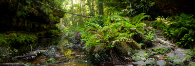 The Grand Canyon Loop, New South Wales, Australia