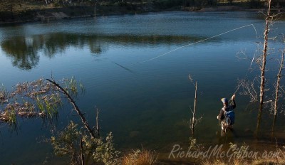 Fly Fishing, Australia