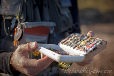 Fly Fishing, Australia