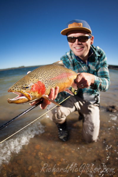 Fly Fishing, Australia