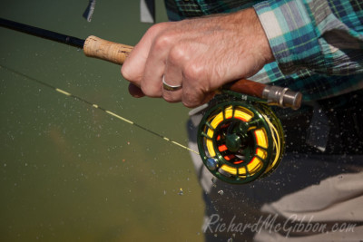 Fly Fishing, Australia