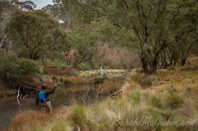 Josh Hutchins, Oberon, Australia