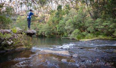 Fly Fishing, Kangaroo River, Australia