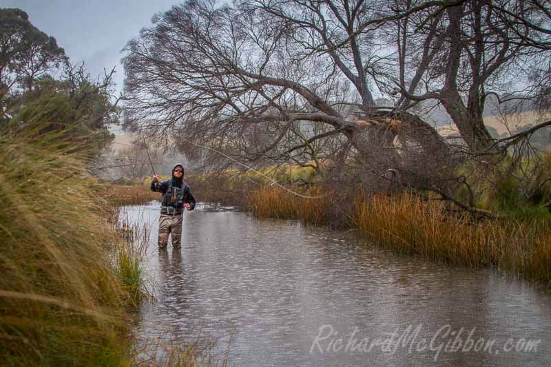 Fly Fishing in the Central West