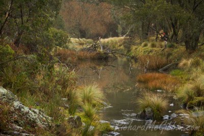 Fly Fishing, Australia