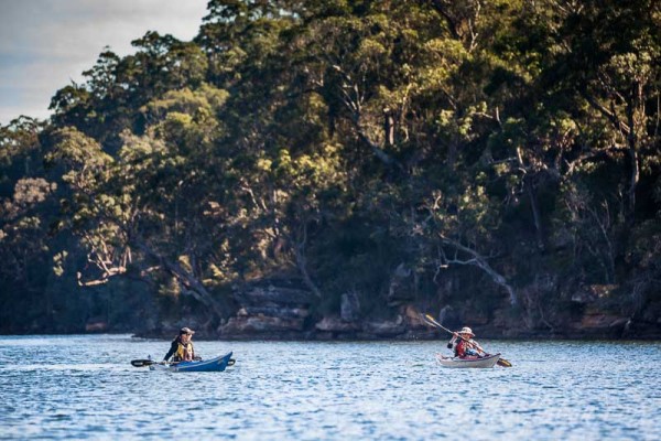 Exploring the bays of Ku-ring-gai National park by kayak