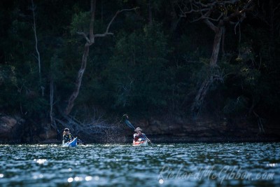 Exploring the bays of Ku-ring-gai National park by kayak