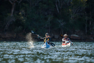 Exploring the bays of Ku-ring-gai National park by kayak