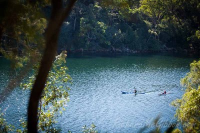 Exploring the bays of Ku-ring-gai National park by kayak