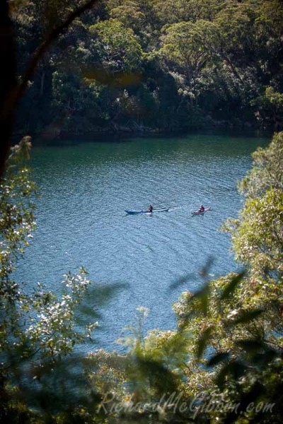 Exploring the bays of Ku-ring-gai National park by kayak