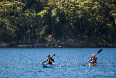 Exploring the bays of Ku-ring-gai National park by kayak