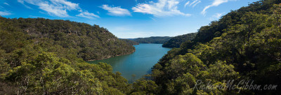 Exploring the bays of Ku-ring-gai National park by kayak