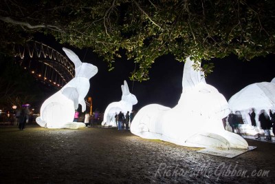 The lights of the Vivid festival in Sydney, Australia, 2014