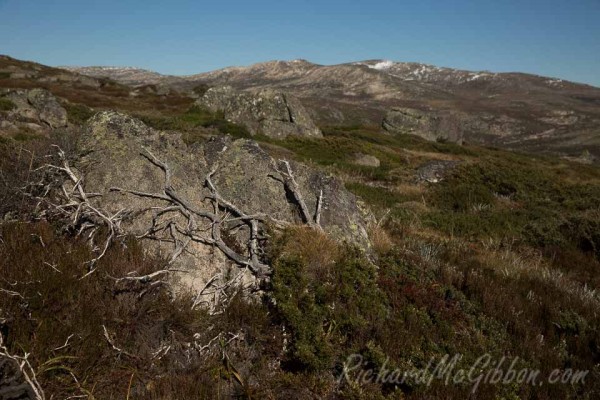 Snowy Mountains, Australia