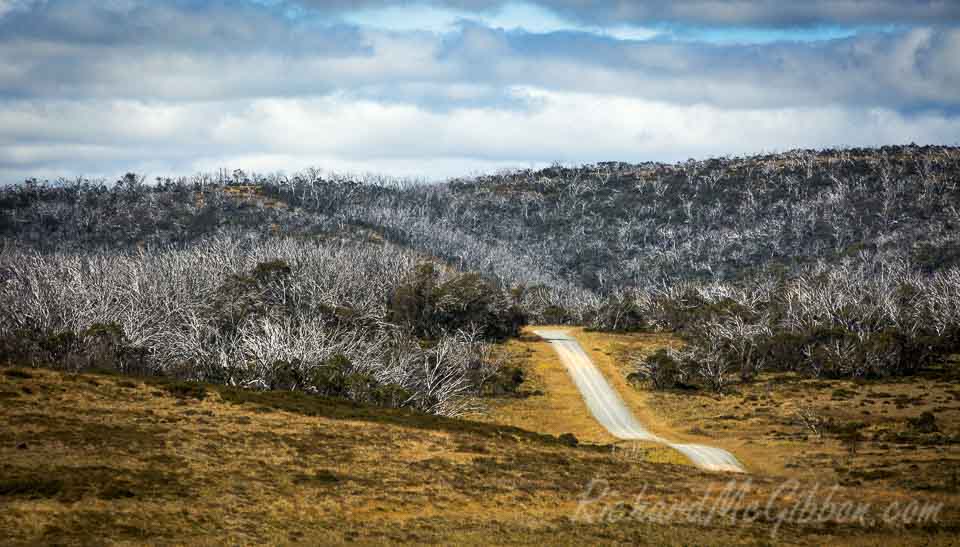 Snowy Mountains, Australia