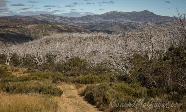 Snowy Mountains, Australia