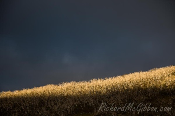 Last light at Dead Horse Gap, Snowy Mountains, Australia