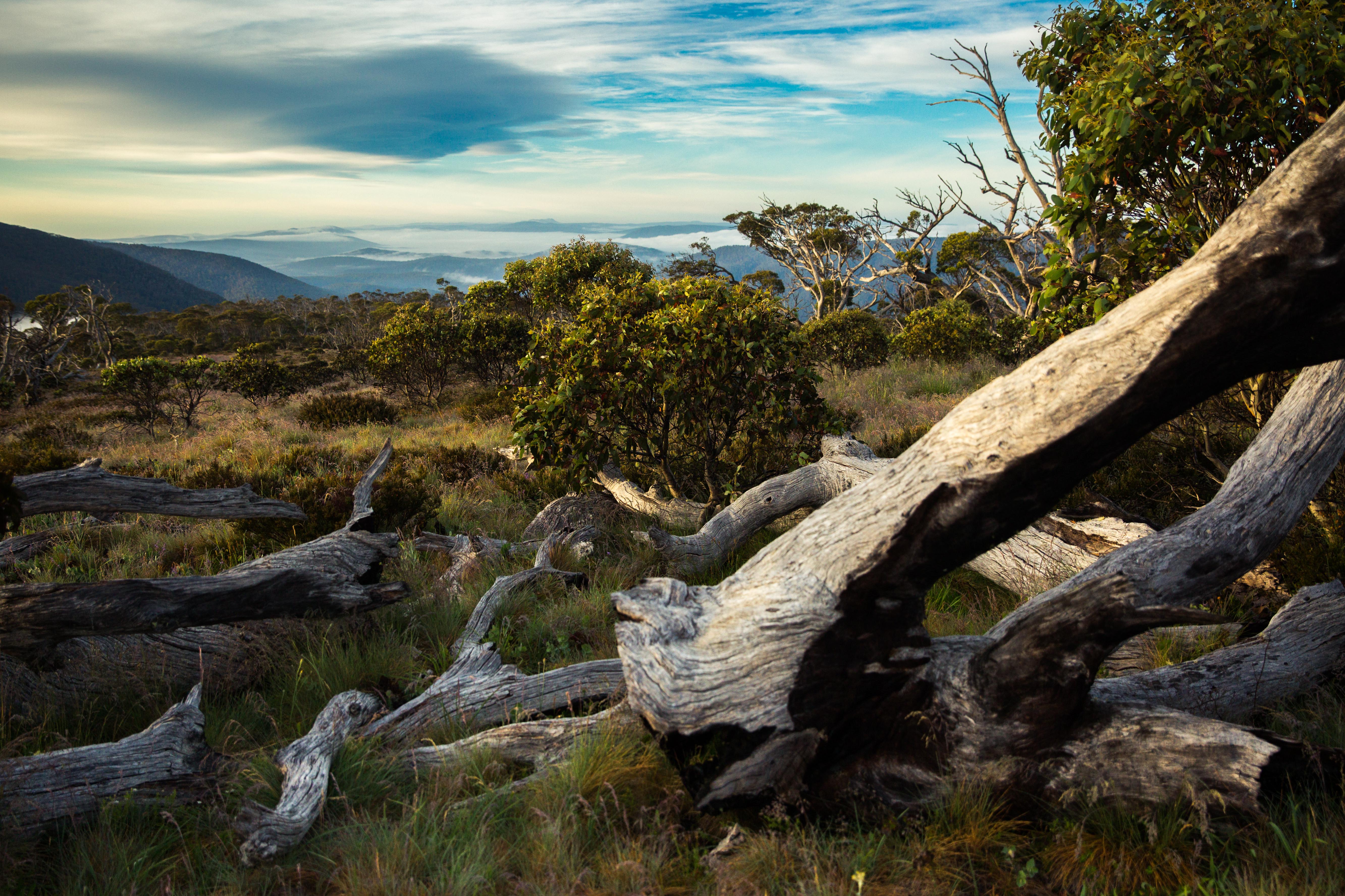 Stromlo National round and the Brindabella Range