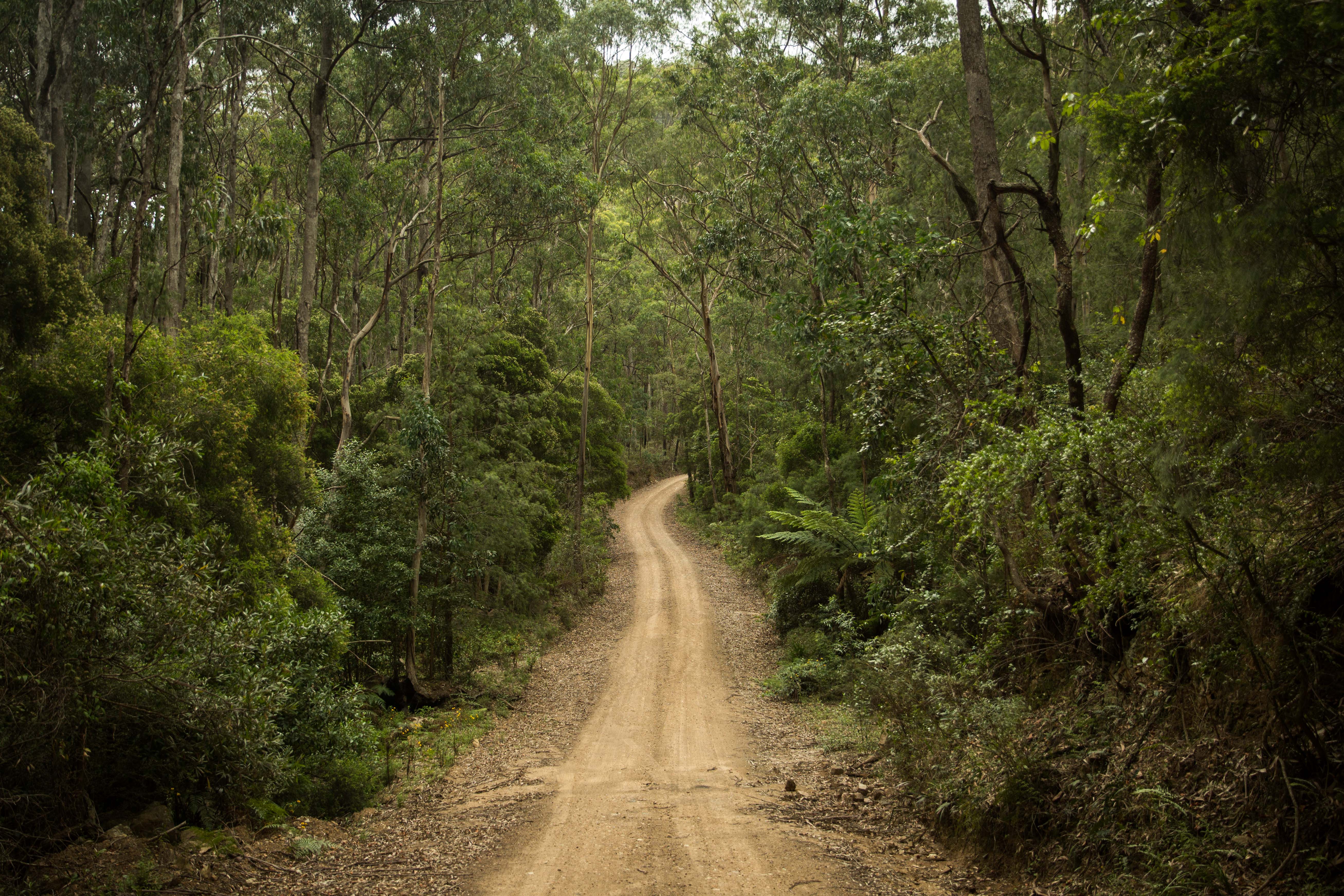 Kanangra Boyd National Park