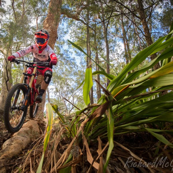 Graeme Mudd, Trek Downhill Team