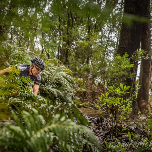 The Willo Enduro, Wingello State Forest, 2017