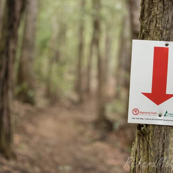 The Willo Enduro, Wingello State Forest, 2017