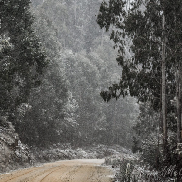 Snowfall, Brindabellas, 2017