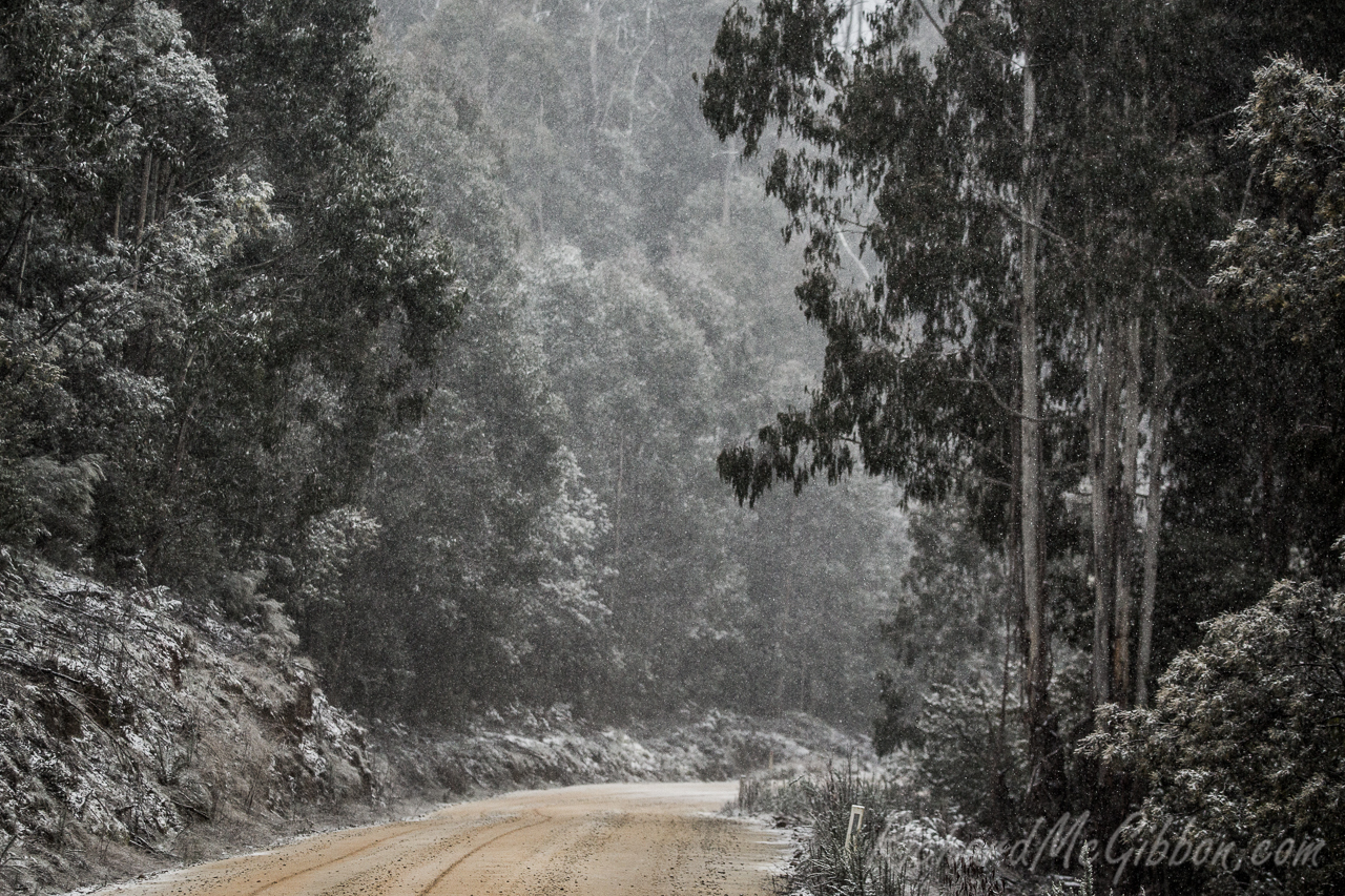 Snowfall, Brindabellas, 2017