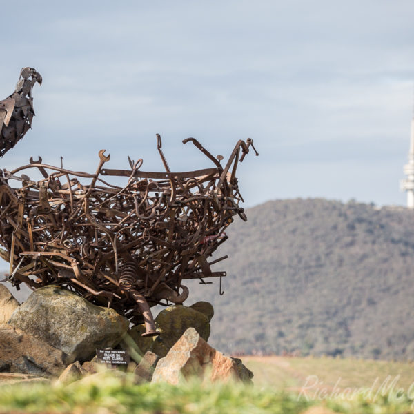 The Eagle and the Tower