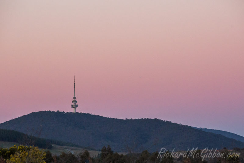 Black Mountain Tower at sunset