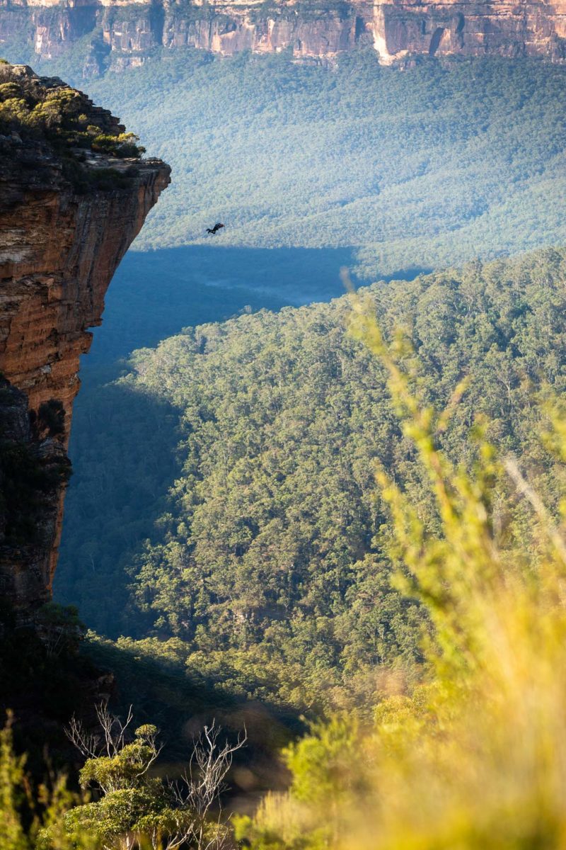 Base Jumping