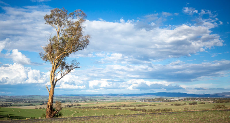 Scenic landscape near bathurst