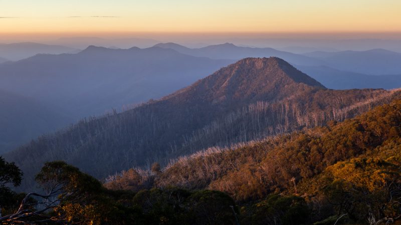 Sunrise, Little Mt Buller