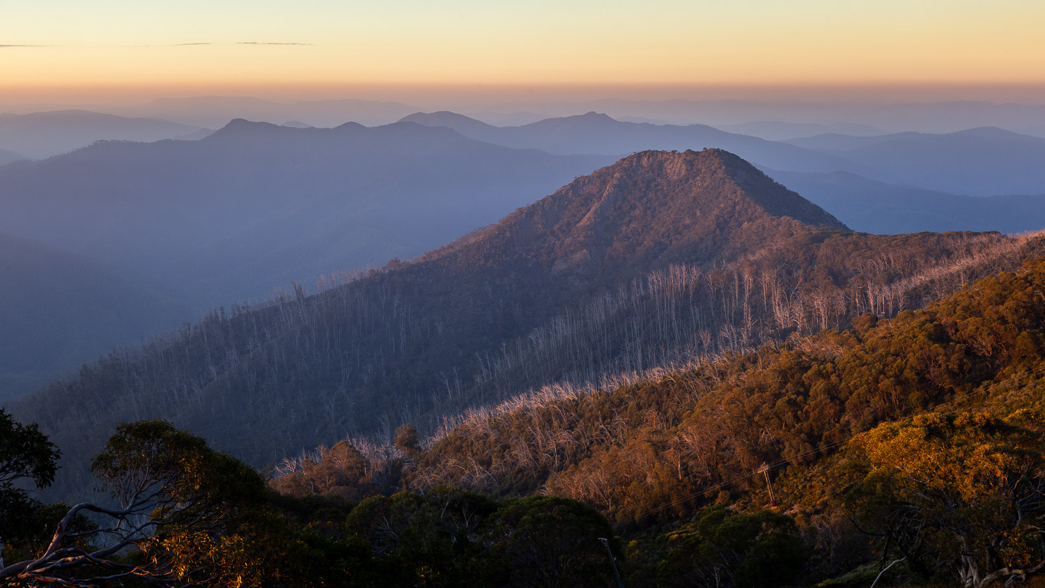 Mt Buller