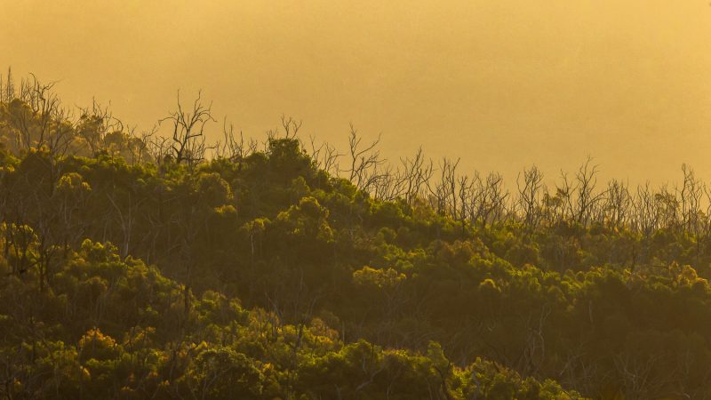 Warrumbungle National Park
