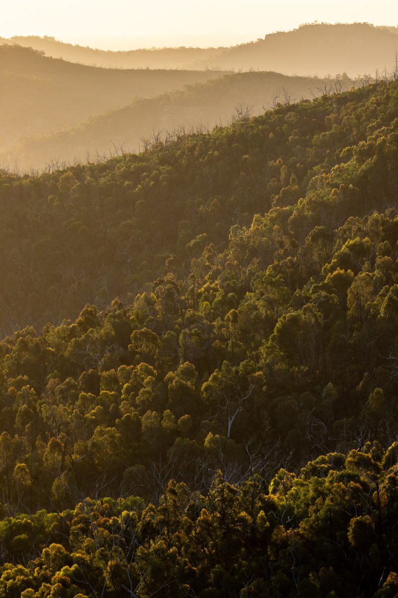 Warrumbungle National Park