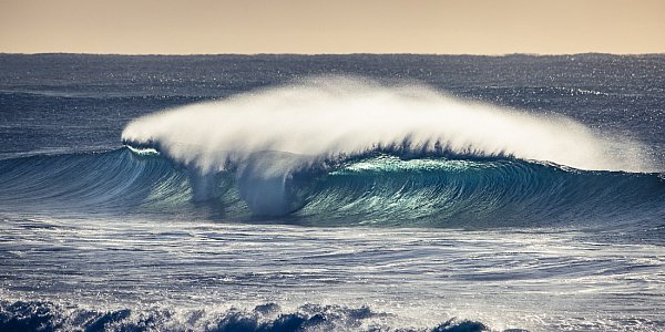 Big waves at Narrabeen during lockdown