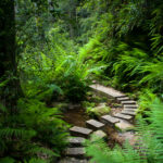 The Grand Canyon Loop, New South Wales, Australia
