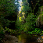 The Grand Canyon Loop, New South Wales, Australia
