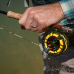 Fly Fishing, Australia
