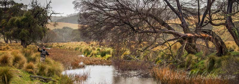 Fly Fishing, Australia