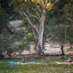 Exploring the bays of Ku-ring-gai National park by kayak