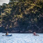 Exploring the bays of Ku-ring-gai National park by kayak