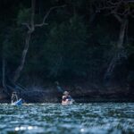 Exploring the bays of Ku-ring-gai National park by kayak