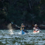 Exploring the bays of Ku-ring-gai National park by kayak